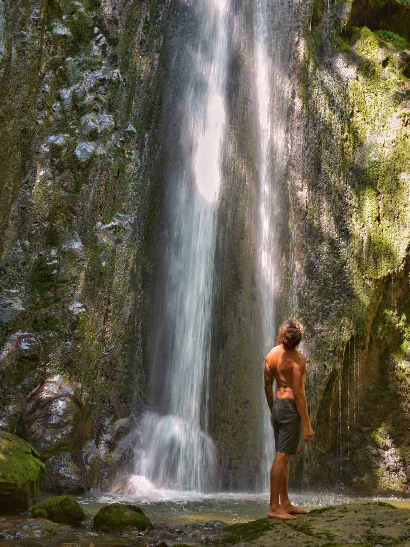 Carnivore Kickstarter Program